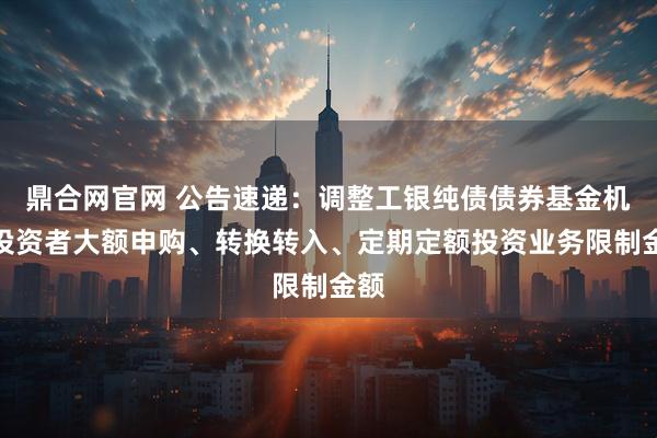 鼎合网官网 公告速递：调整工银纯债债券基金机构投资者大额申购、转换转入、定期定额投资业务限制金额