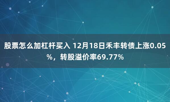 股票怎么加杠杆买入 12月18日禾丰转债上涨0.05%，转股溢价率69.77%