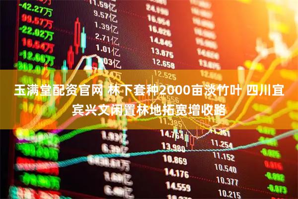 玉满堂配资官网 林下套种2000亩淡竹叶 四川宜宾兴文闲置林地拓宽增收路